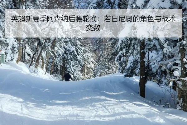 英超新赛季阿森纳后腰轮换：若日尼奥的角色与战术变数