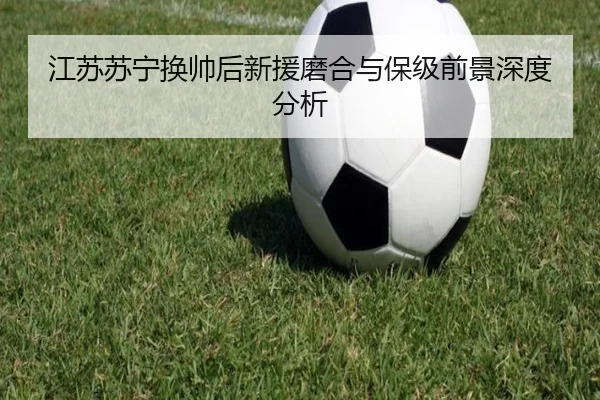 江苏苏宁换帅后新援磨合与保级前景深度分析
