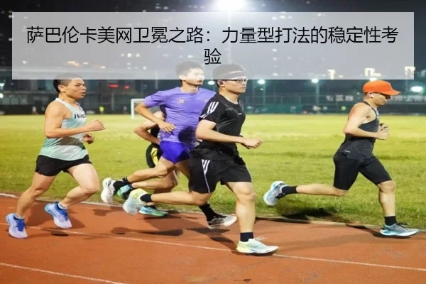 sa-ba-lun-ka-mei-wang-wei-mian-zhi-lu-li-liang-xing-da-fa-de-wen-ding-xing-kao-yan-3-399.jpg
