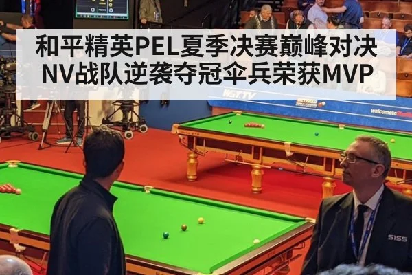 和平精英PEL夏季决赛巅峰对决NV战队逆袭夺冠伞兵荣获MVP