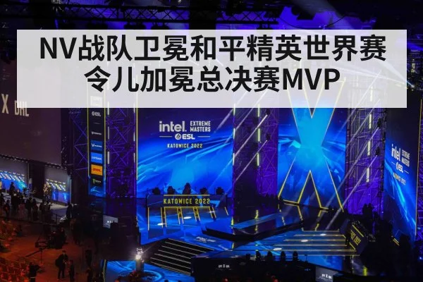 NV战队卫冕和平精英世界赛 令儿加冕总决赛MVP
